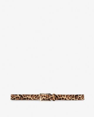 Leopard Calf Hair Belt | Express