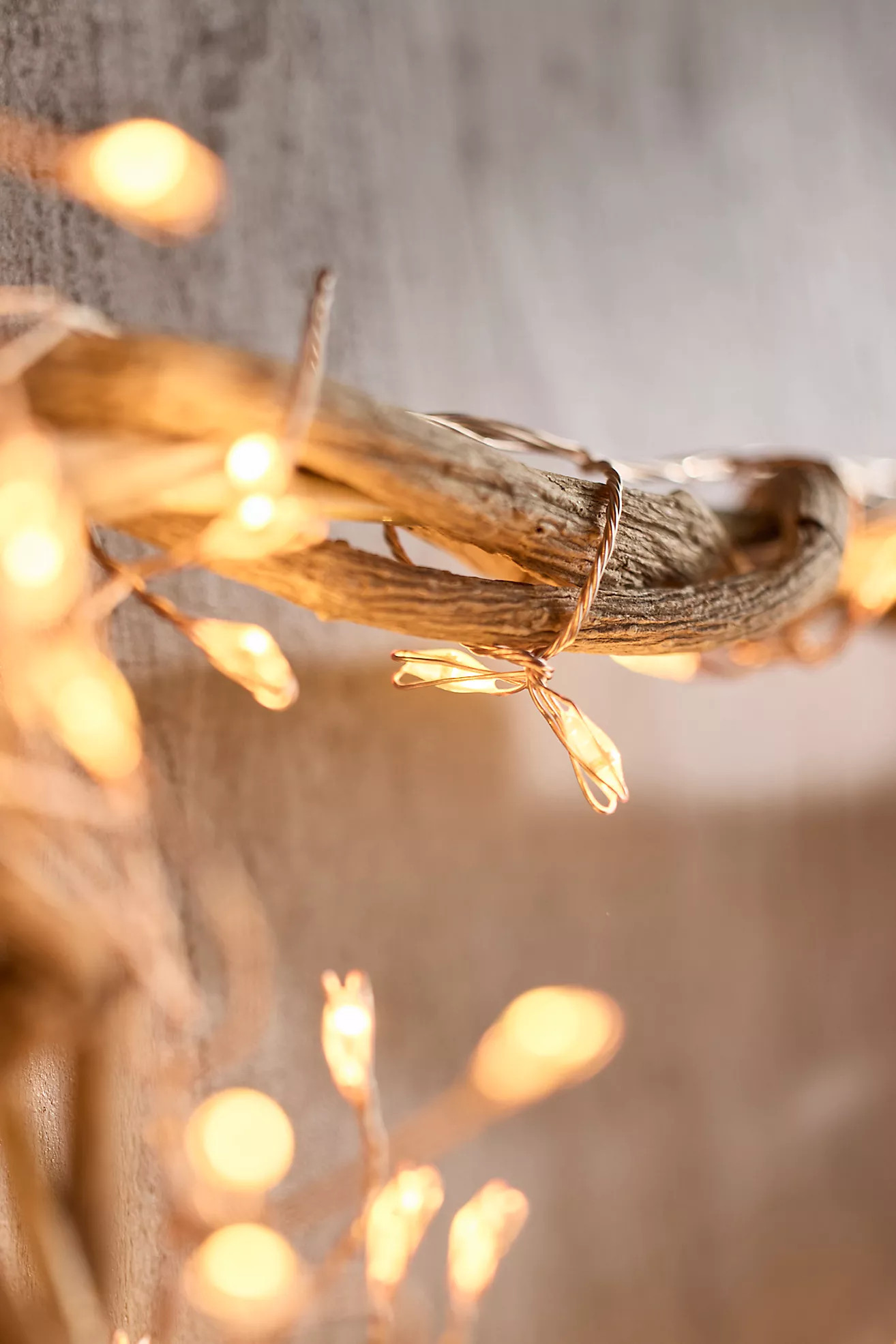 Stargazer Illuminated LED Vine Star | Terrain