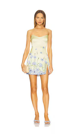 Debra Dress in Light Blue Poppy | Revolve Clothing (Global)