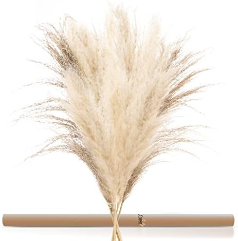 Brand: Generic | Amazon (US)