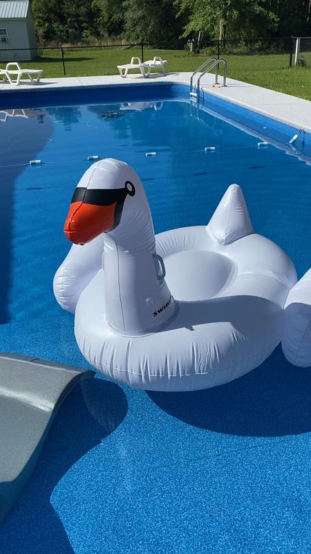 Pool fun
Swan
Giant swan inflatable 

#LTKswim #LTKhome #LTKfindsunder50
