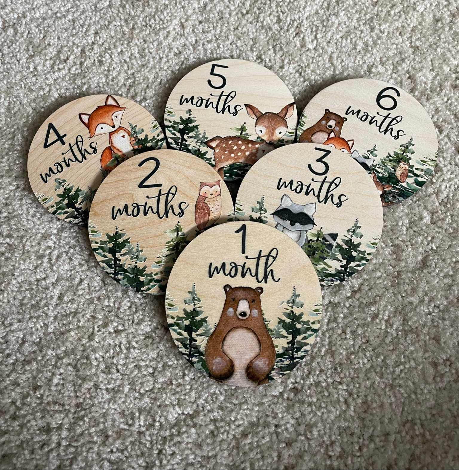 The cutest way to track your babies age! Doubled sided with every month, gender neutral so you can use with multiple babies.

#LTKfamily #LTKbaby #LTKkids