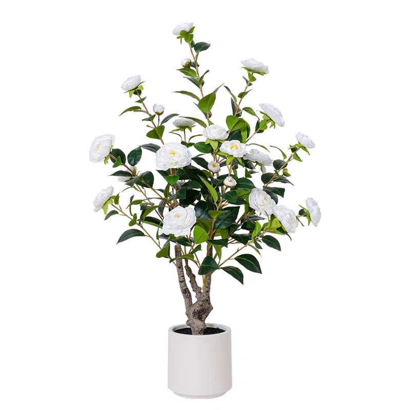 Primrue 39" Faux Camellia Tree In Black Plastic Pot Spring Florals Greenery Flower & Reviews | Wa... | Wayfair North America