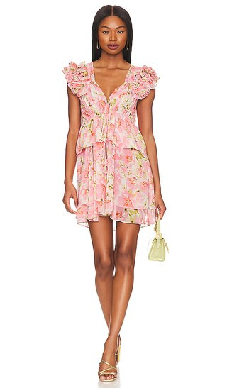 Lily Dress in Blushing Flora | Revolve Clothing (Global)