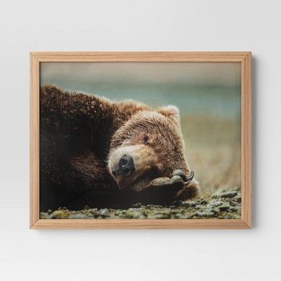 20" x 16" Bear Photography Framed Art Brown - Threshold™ | Target