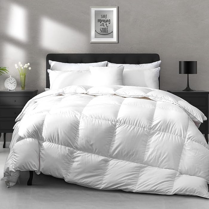 APSMILE Luxury All Season Down Feather Fibers Comforter Full/Queen Size Duvet Insert - 100% Organ... | Amazon (US)