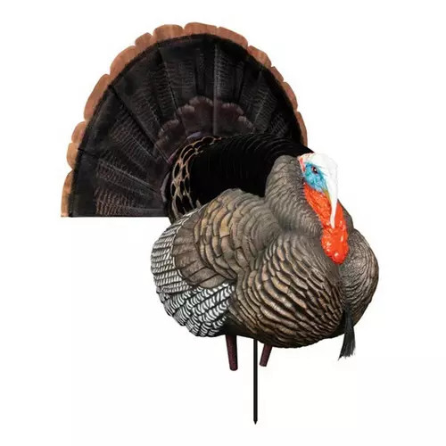Higdon Apex Strutter Hard Body Turkey Decoy | Scheels Sports