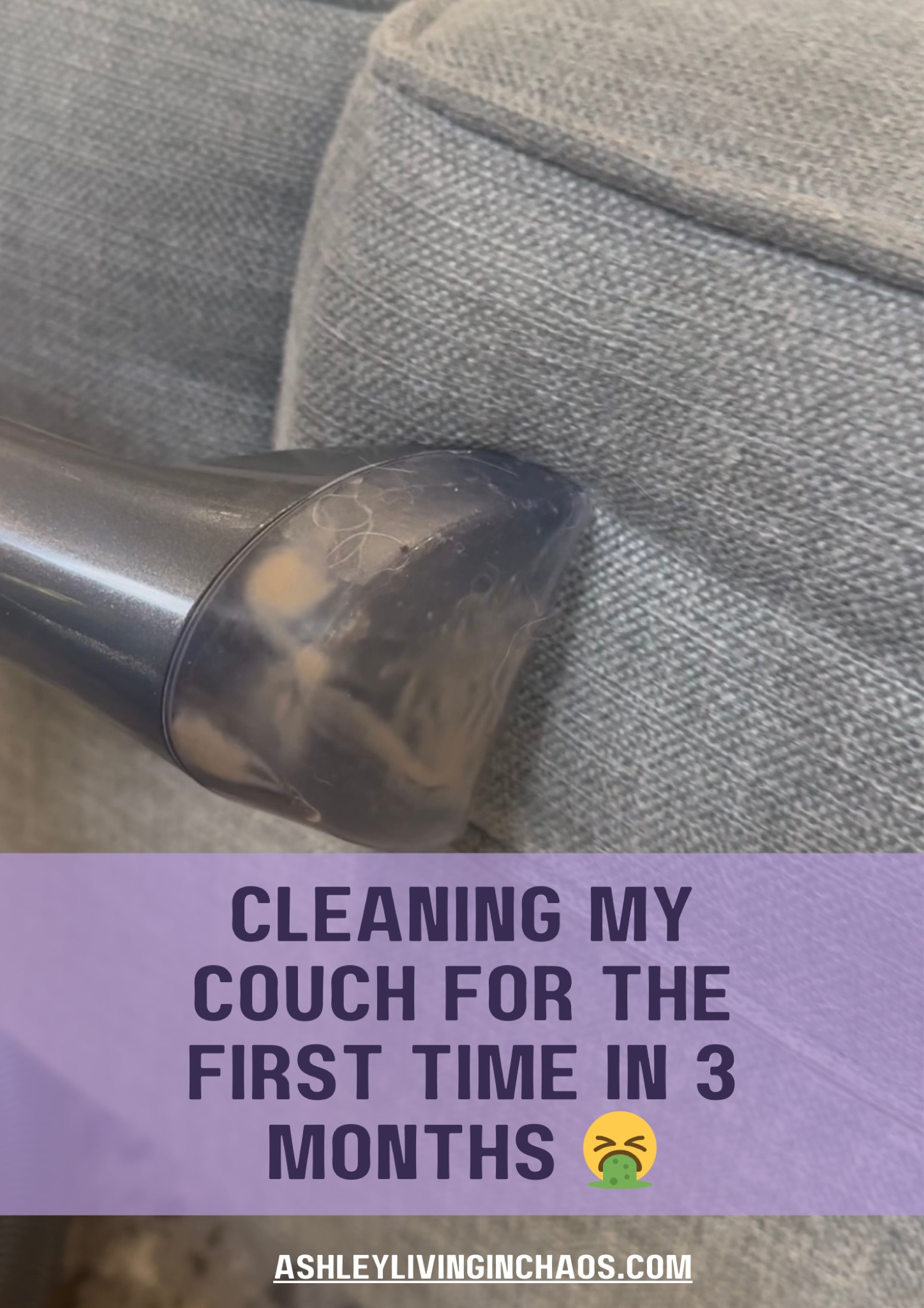 Products I used to clean my couch

#LTKVideo #LTKhome