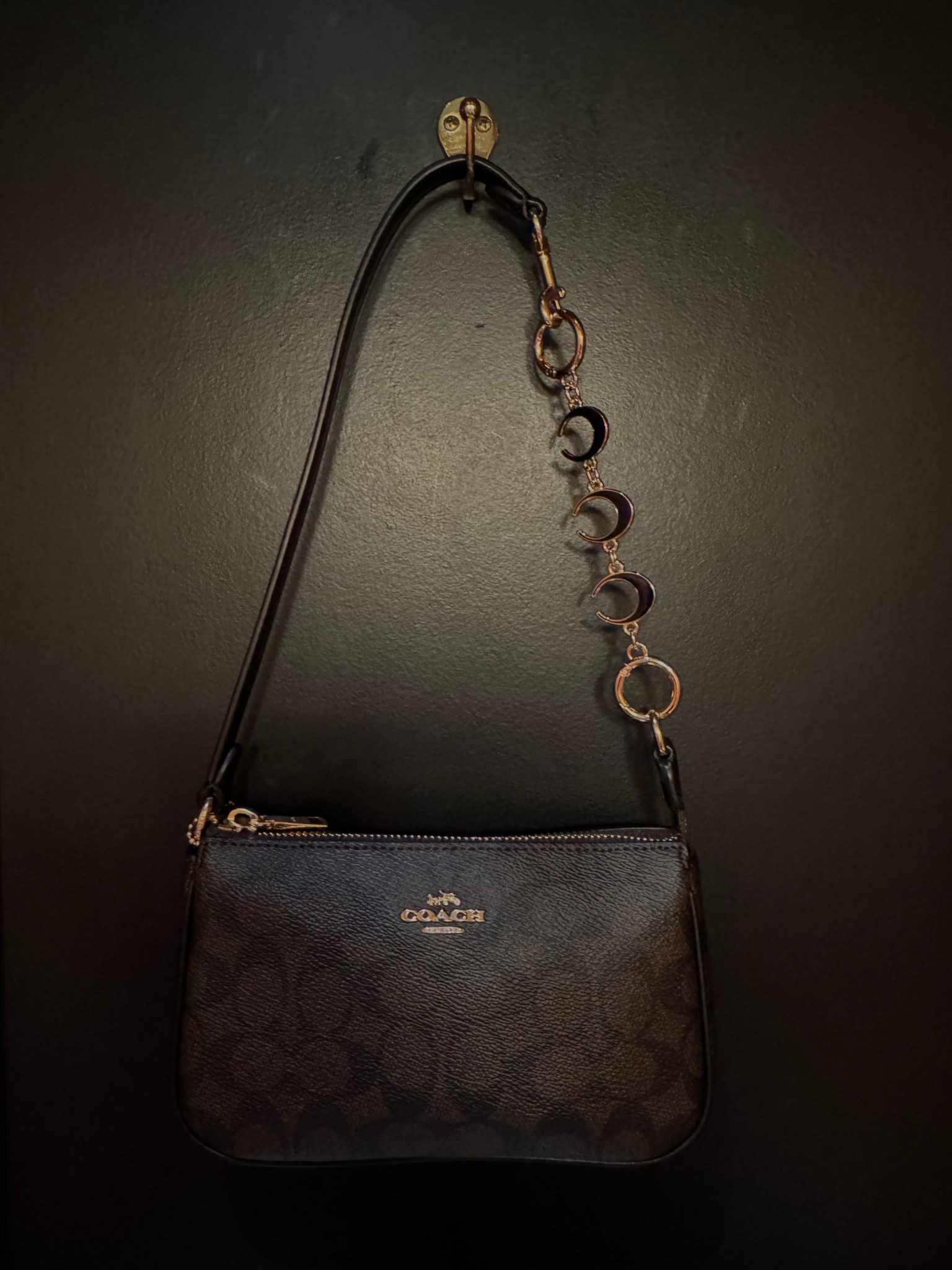 a coach bag for $100 + the cutest bag extender that really elevates the purse🤎✨

#LTKootd #LTKGiftGuide