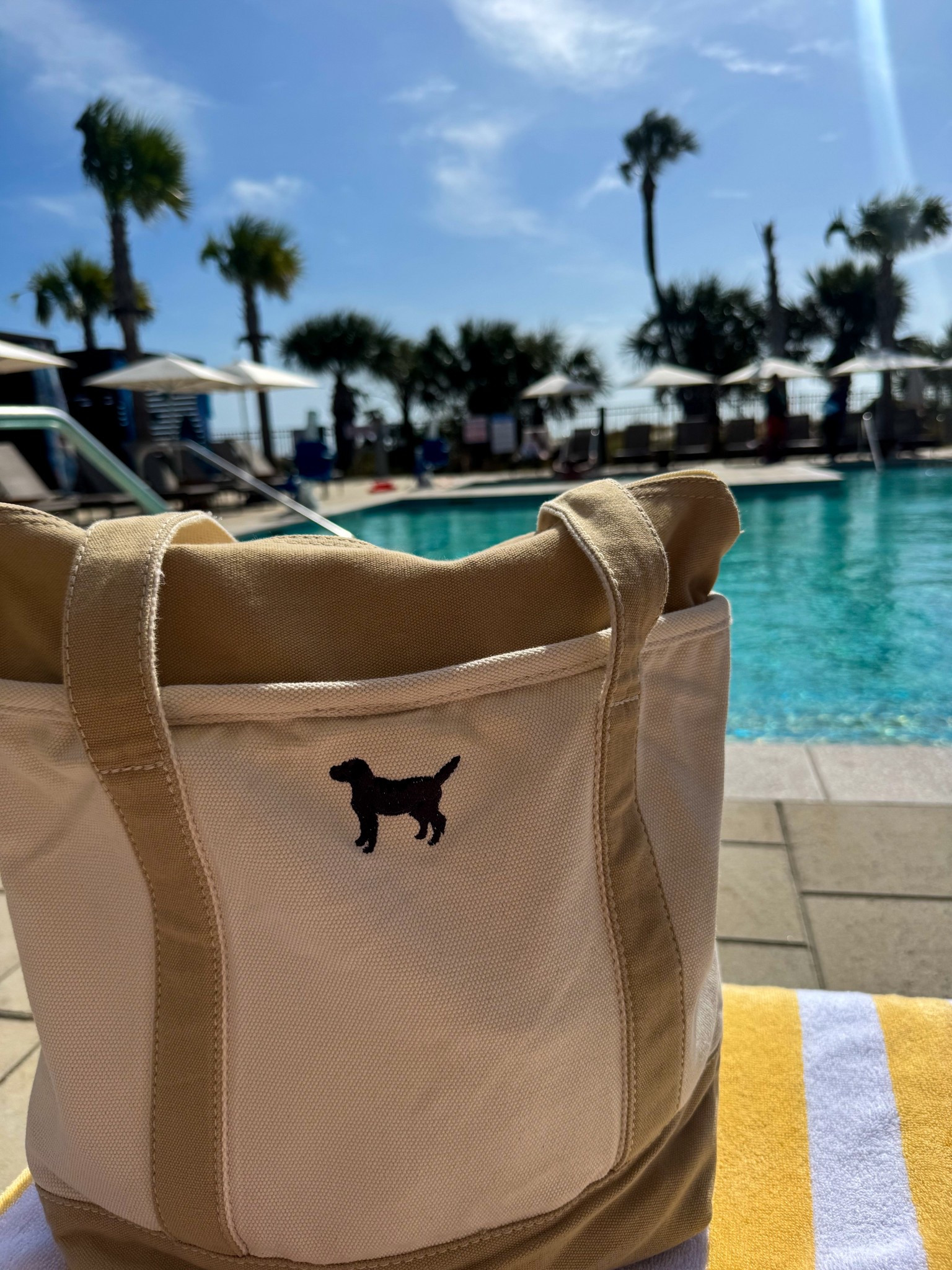 My go to bag!! 

#LTKgrwm #LTKSpringSale #LTKdayinmylife