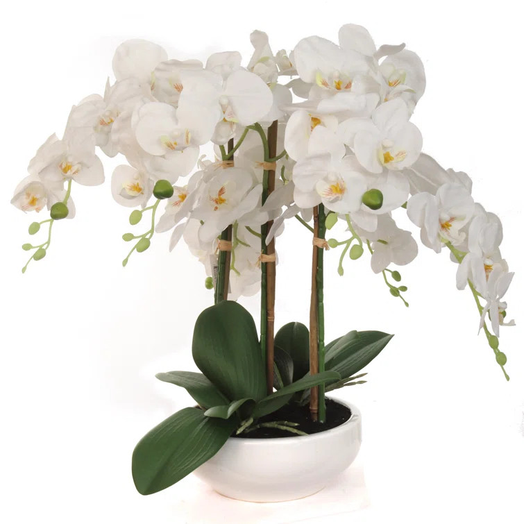 Silk Orchids Arrangement in Vase | Wayfair North America