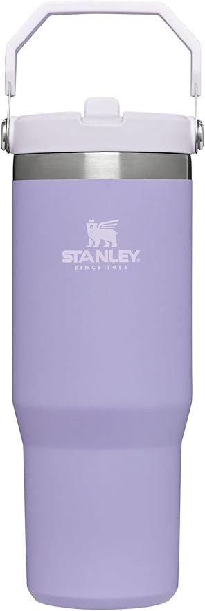 STANLEY IceFlow Stainless Steel Tumbler with Straw, Vacuum Insulated Water Bottle for Home, Offic... | Amazon (US)