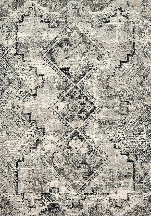 Loloi Rugs Viera Collection Vintage Distressed Southwest Area Rug, 8'-11" x 12'-5", Grey/Black | Amazon (US)