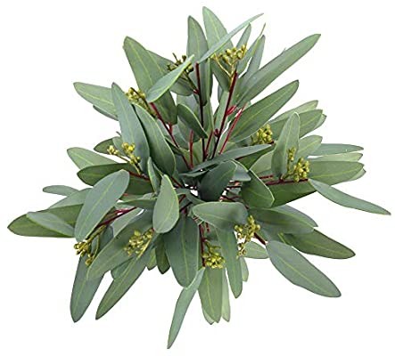 Greentime 8 Pack Artificial Eucalyptus Long Olive Leaf Stem Eucalyptus Spray Faux 13 Inches Green... | Amazon (US)