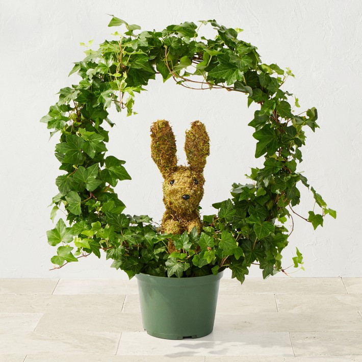 Easter Bunny in Circular Topiary | Williams-Sonoma
