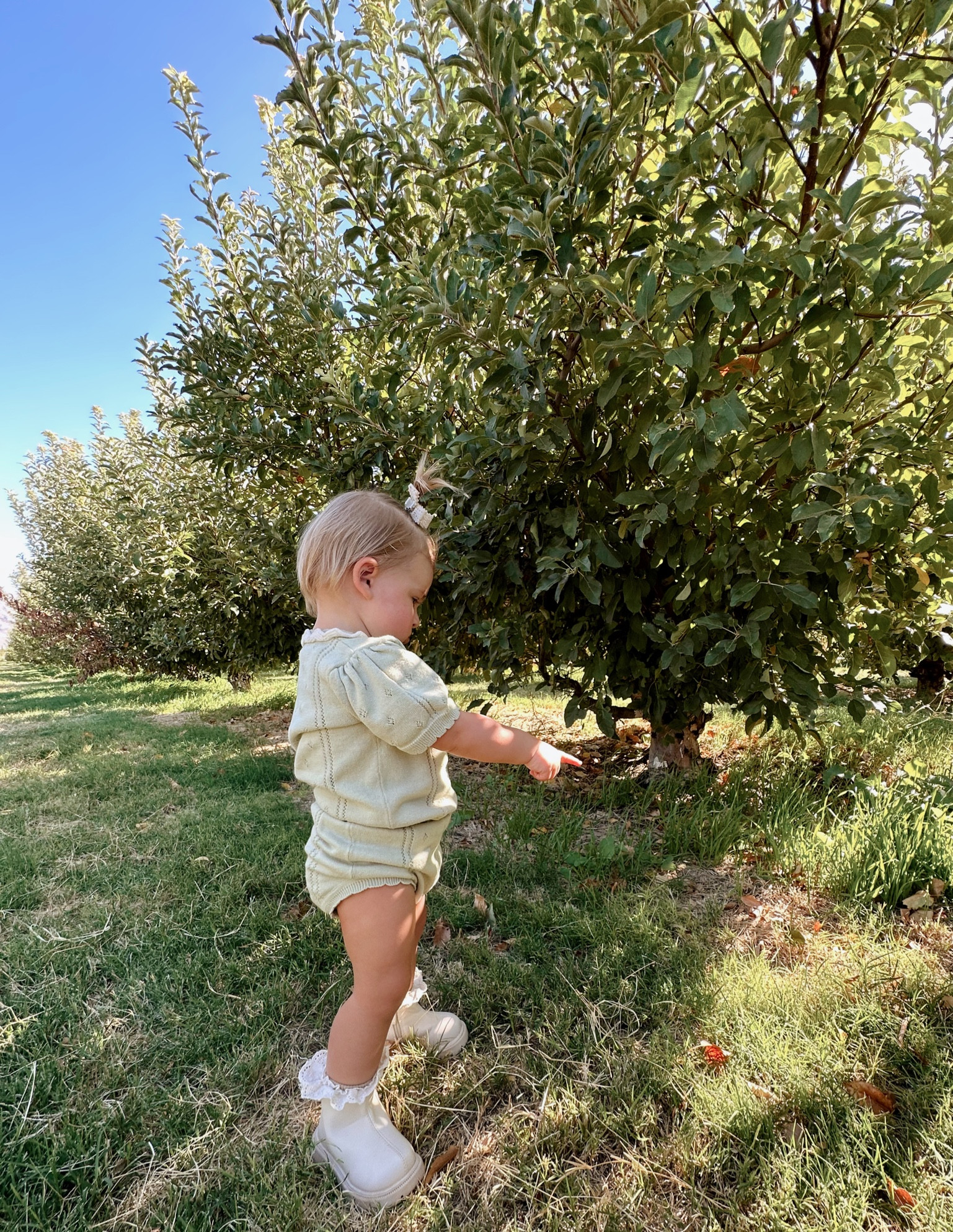 Fall photos with baby girlie

#LTKkids #LTKfamily #LTKbaby