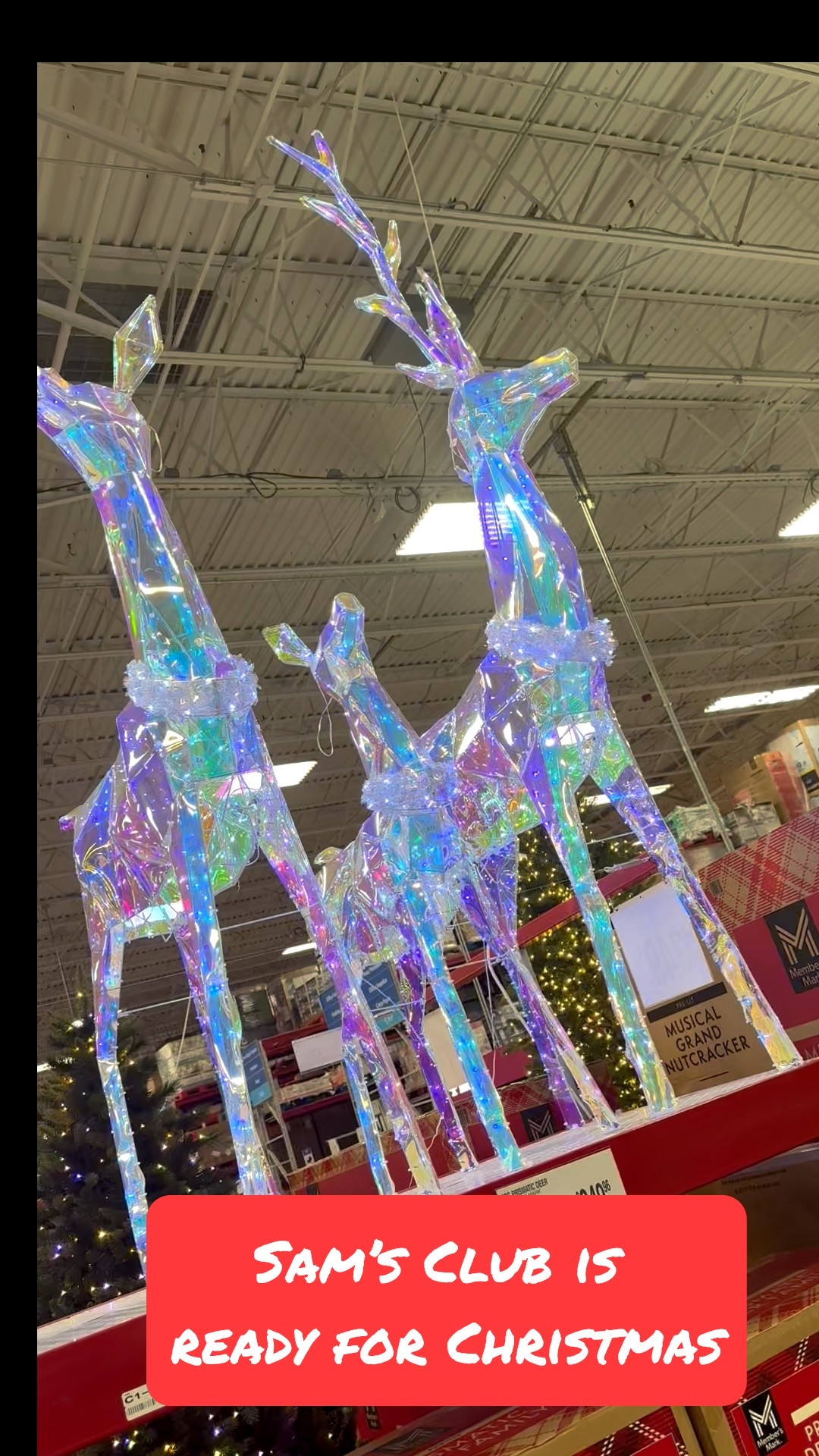 For all your outdoor decor go check out Sam’s Club. Have the brightest most joyful  yard in the neighborhood  

#LTKSeasonal #LTKHoliday #LTKHome