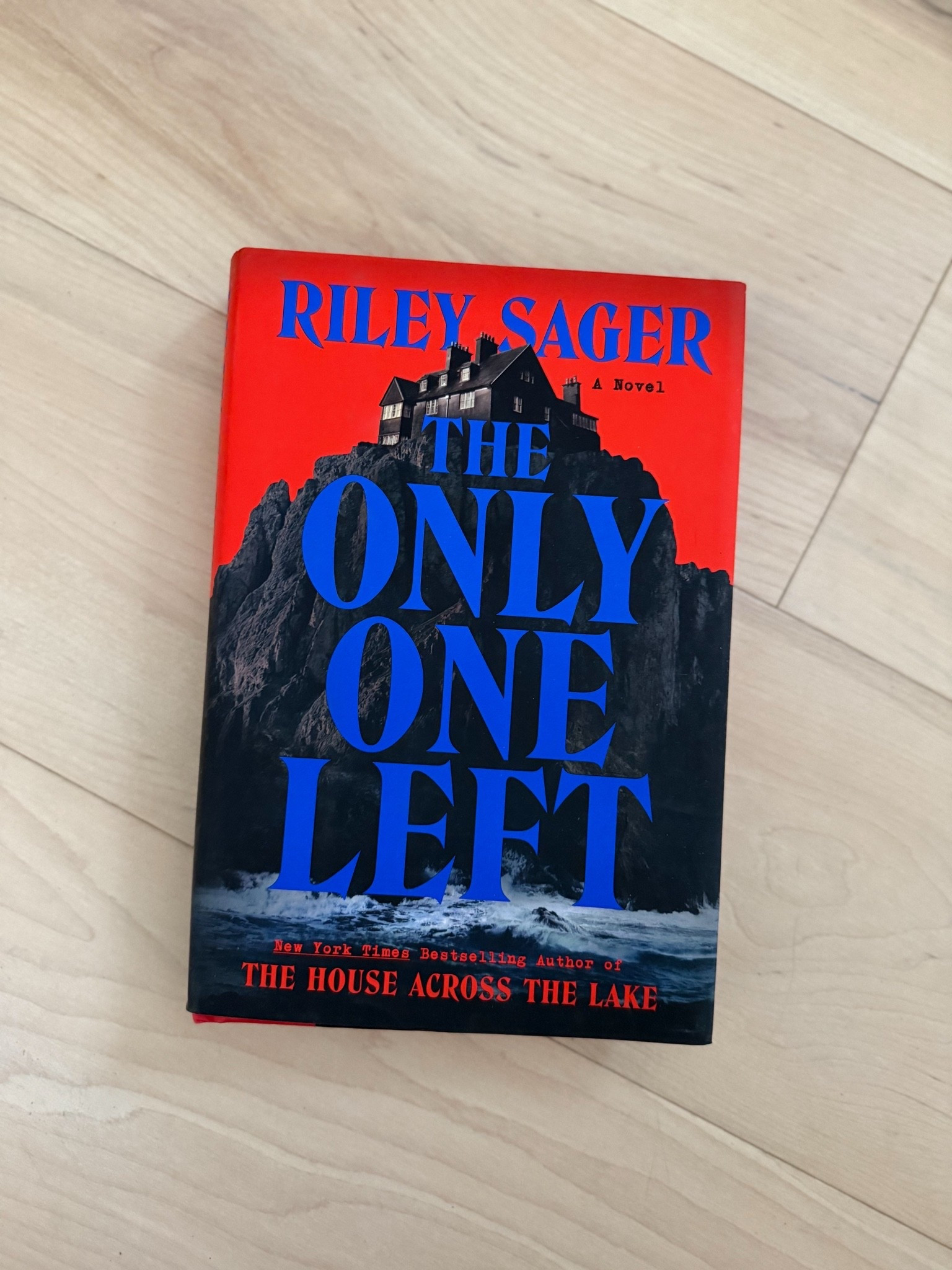 The Only One Left by Riley Sager 

#LTKSeasonal #LTKFindsUnder50