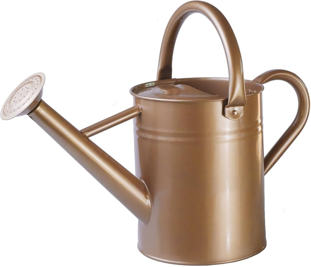 Metal Watering Can for Outdoor Plants, Galvanized Steel Watering Can with Removable spout, 1 Gall... | Amazon (US)