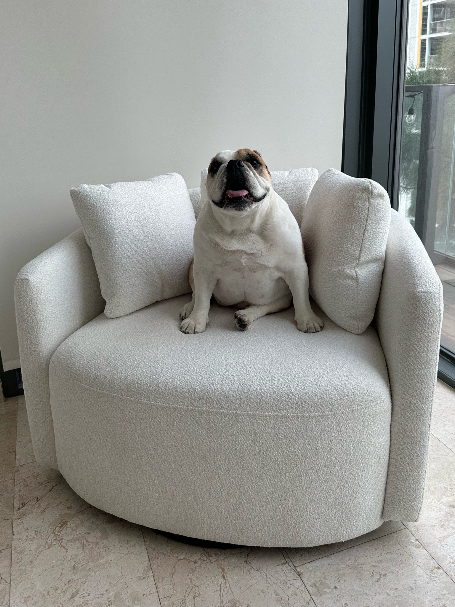 Under $300!!! Plus free next day delivery🤯 #walmartfinds #walmartfurniture #roomdecor #sherpachair #viralfurniture #beautifulbydrew #ltkdecor

#LTKMostLoved #LTKhome