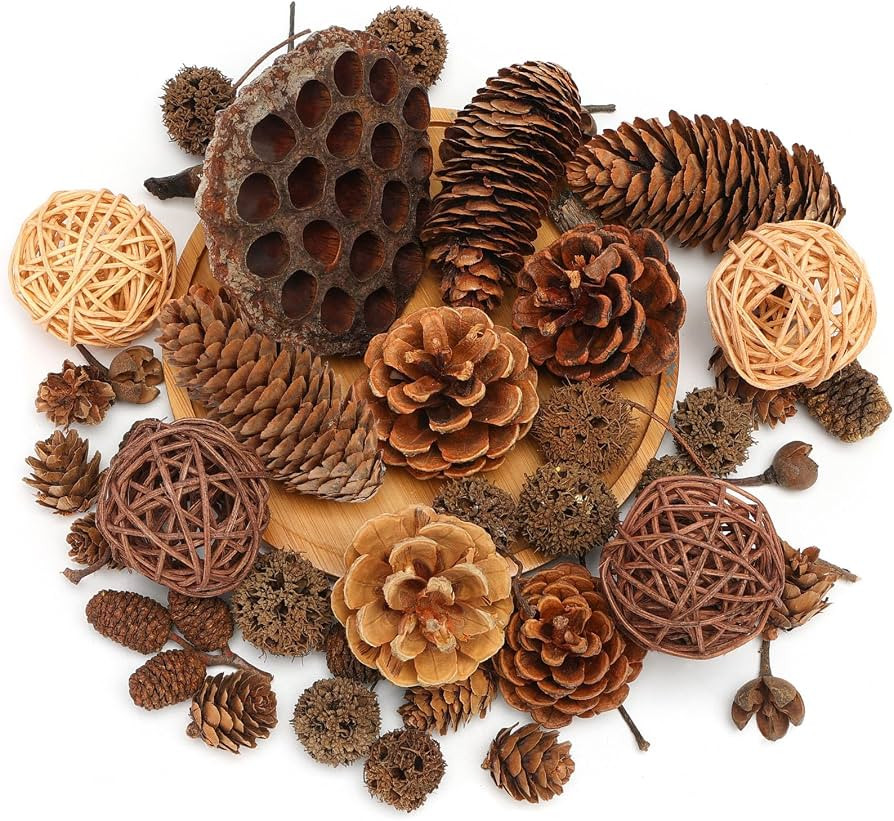 DomeStar 38 PCS Pine Cone Set for Bowl Centerpiece, Natural Bowl Fillers | Amazon (US)