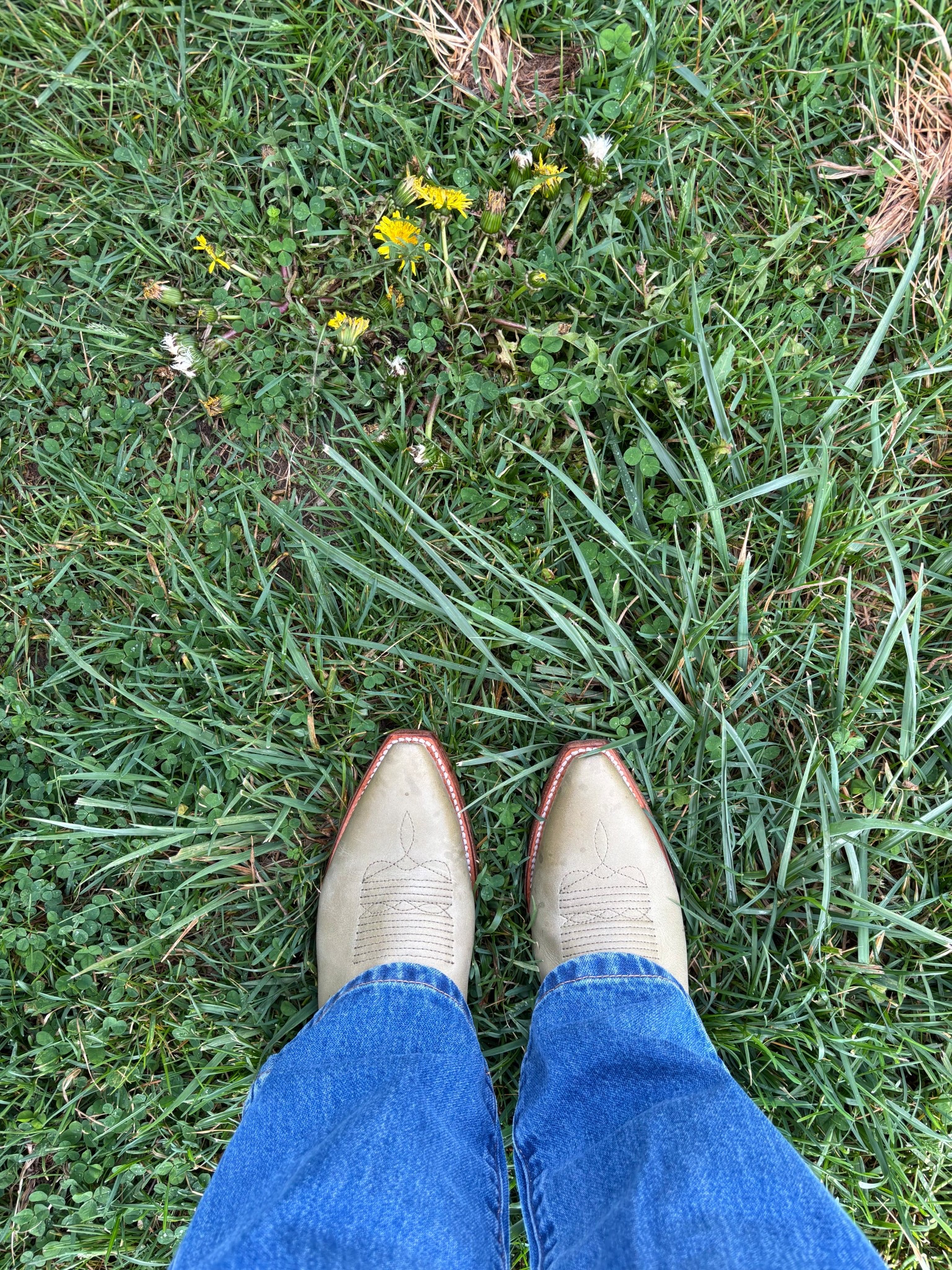 @Tecovas @Wrangler 

#LTKFestival #LTKSeasonal #LTKdayinmylife