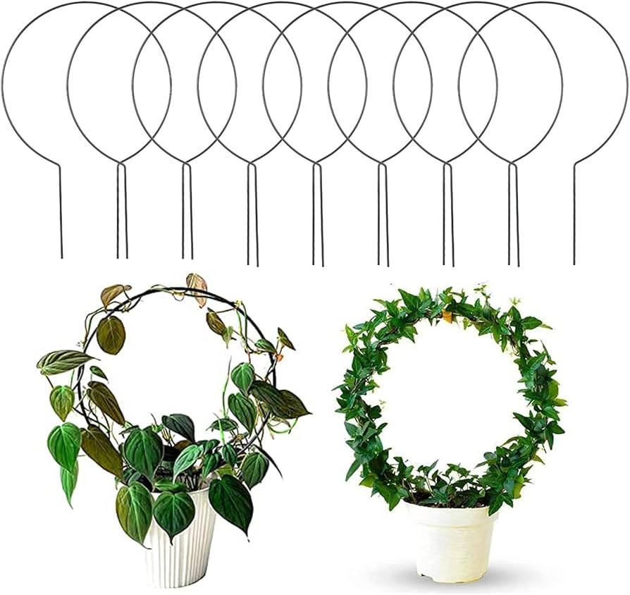 Acrux7 10 Pcs Circle Trellis for Potted Plants Trellis for Climbing Plants Indoor Plant Trellis P... | Amazon (US)