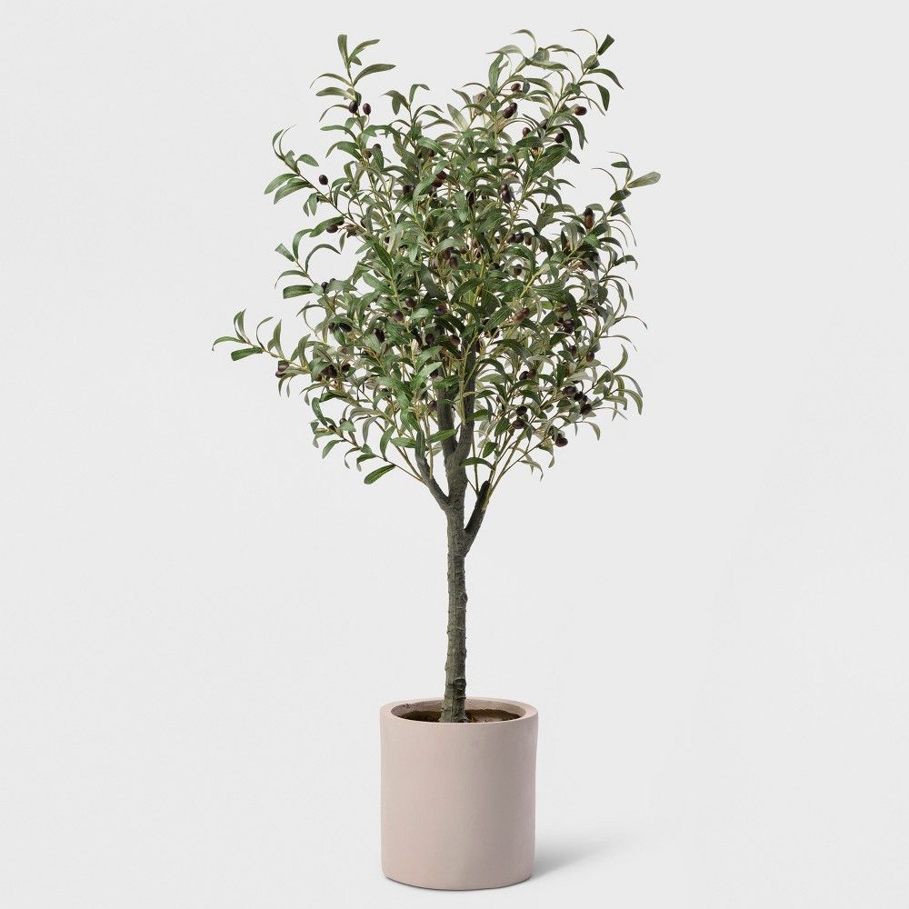 60"" Potted Olive Tree - Lloyd & Hannah, Green | Target