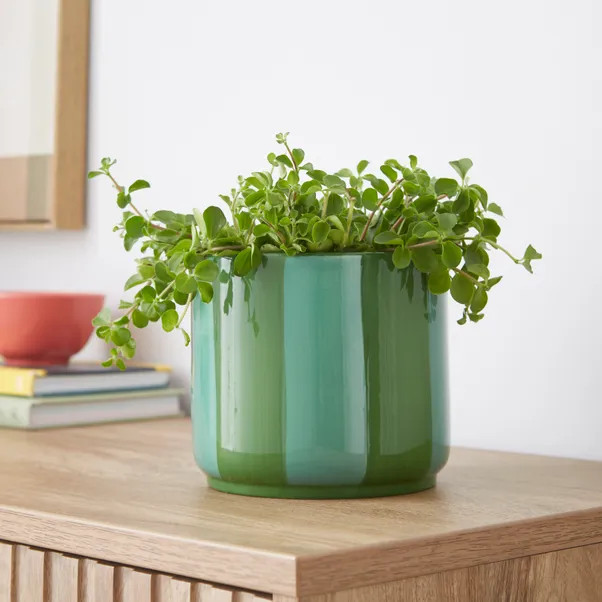 Elements Striped Ceramic Plant Pot | Dunelm