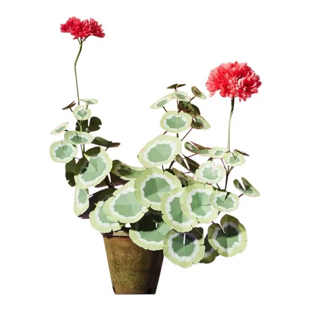 The Green Vase Geranium Plant | Chairish