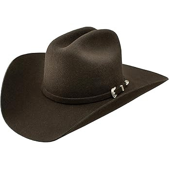 Stetson Stallion Collection The Oak Ridge Cowboy Hat | Amazon (US)