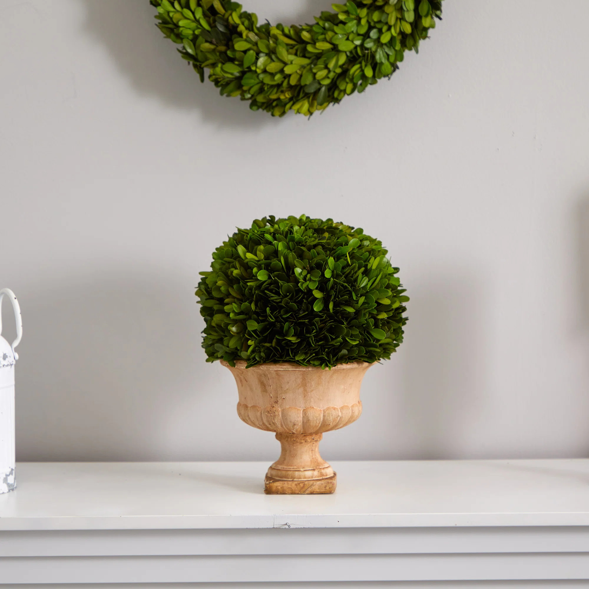 12'' Boxwood Topiary in Ceramic Urn | Wayfair North America