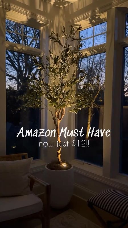 Obsessed with this Amazon home find!! Looks amazing with my favorite faux olive tree that's also from Amazon! The accent light is only $12 and is such a cozy vibe at night!!  ✨
(5/7)

#LTKStyleTip #LTKVideo #LTKHome