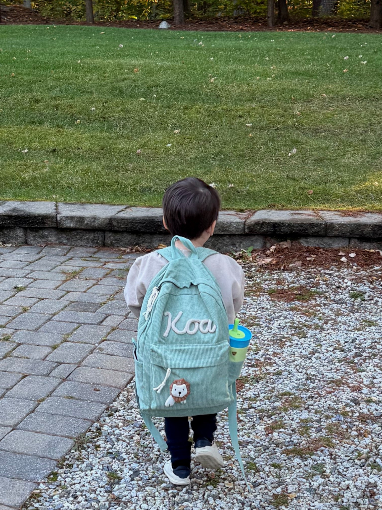 School, daycare must haves, toddler backpack, personalized backpack under $20

#LTKFindsUnder50 #LTKFamily #LTKKids