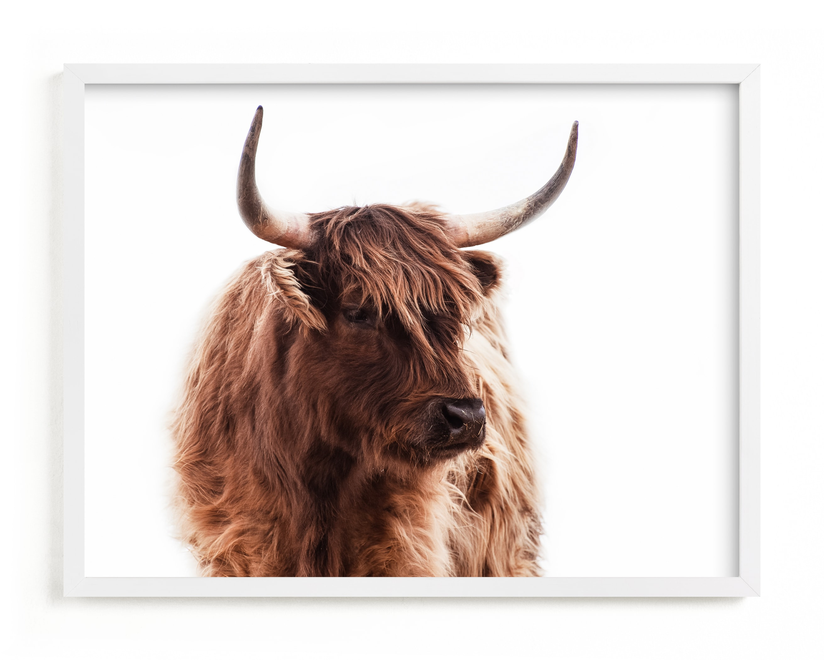 "Looking For Day Dreams" - Marketplace Non-custom Art by Leslie Le Coq. | Minted