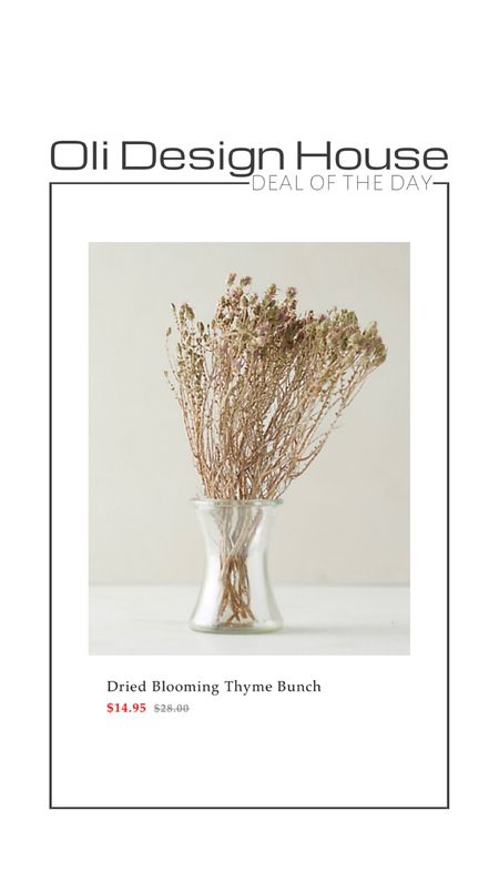 Deal of the day

Dried blooming thyme bunch on sale!

Dried stems, artificial stems, spring stems, spring decor

#LTKFind #LTKsalealert #LTKhome