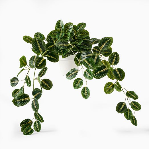 Faux Potted Herringbone Maranta Plant | West Elm (US)