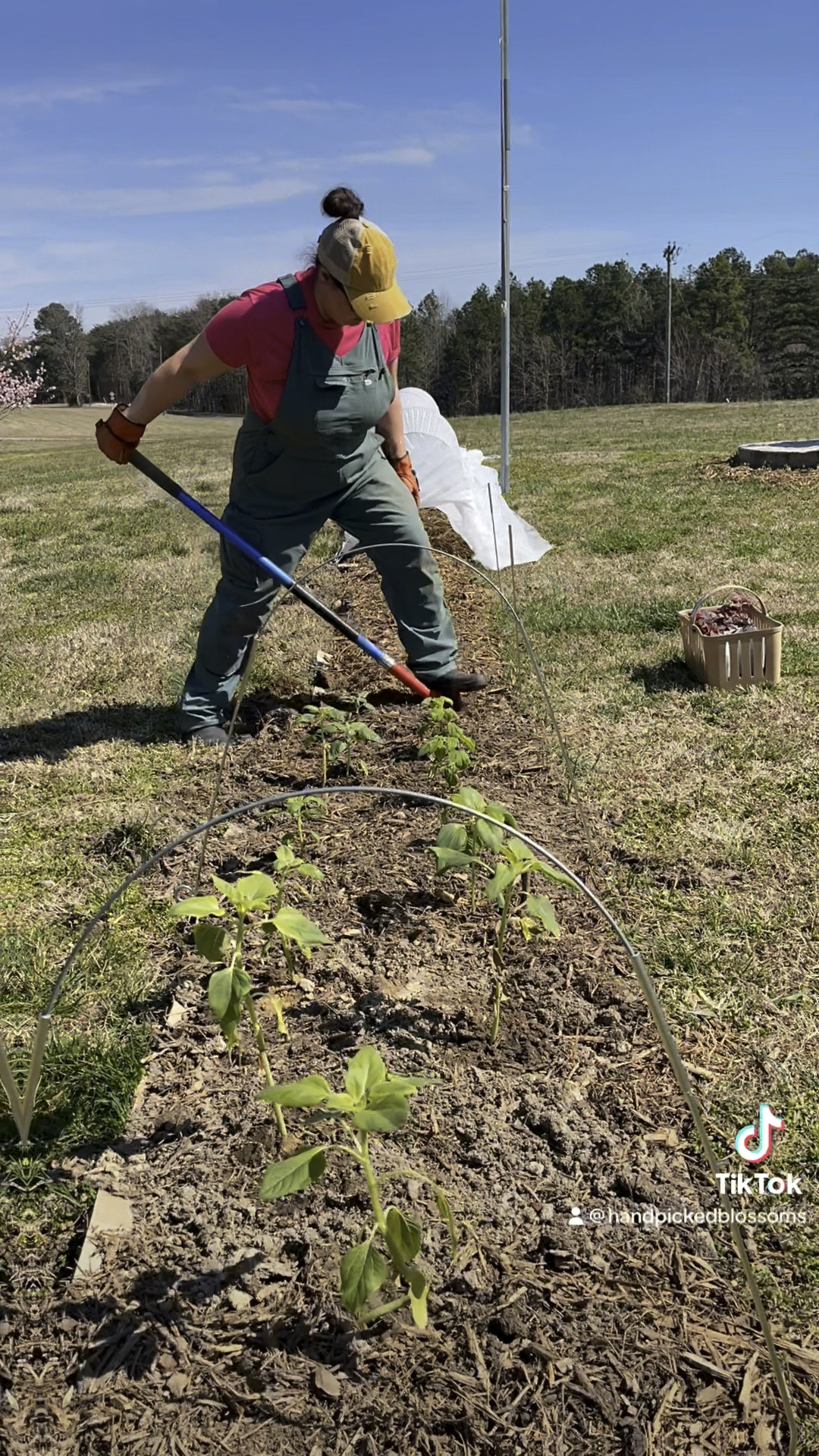 Happy Spring!! It may still feel like winter, but spring has been peeking out early this year! 

Make sure you’ve got your garden gear to protect you from UV rays. I love my Duluth overalls because they have UV protection built in to the fabric. My bib overalls also have ripstop fabric so I can feel confident when planting my sunflowers in the garden. 

#spring #firstdayofspring #ltkspringsale #springrefresh #springgardentrend #springessentials
#springgarden #springgardening 

#LTKSeasonal #LTKfindsunder100 #LTKmidsize