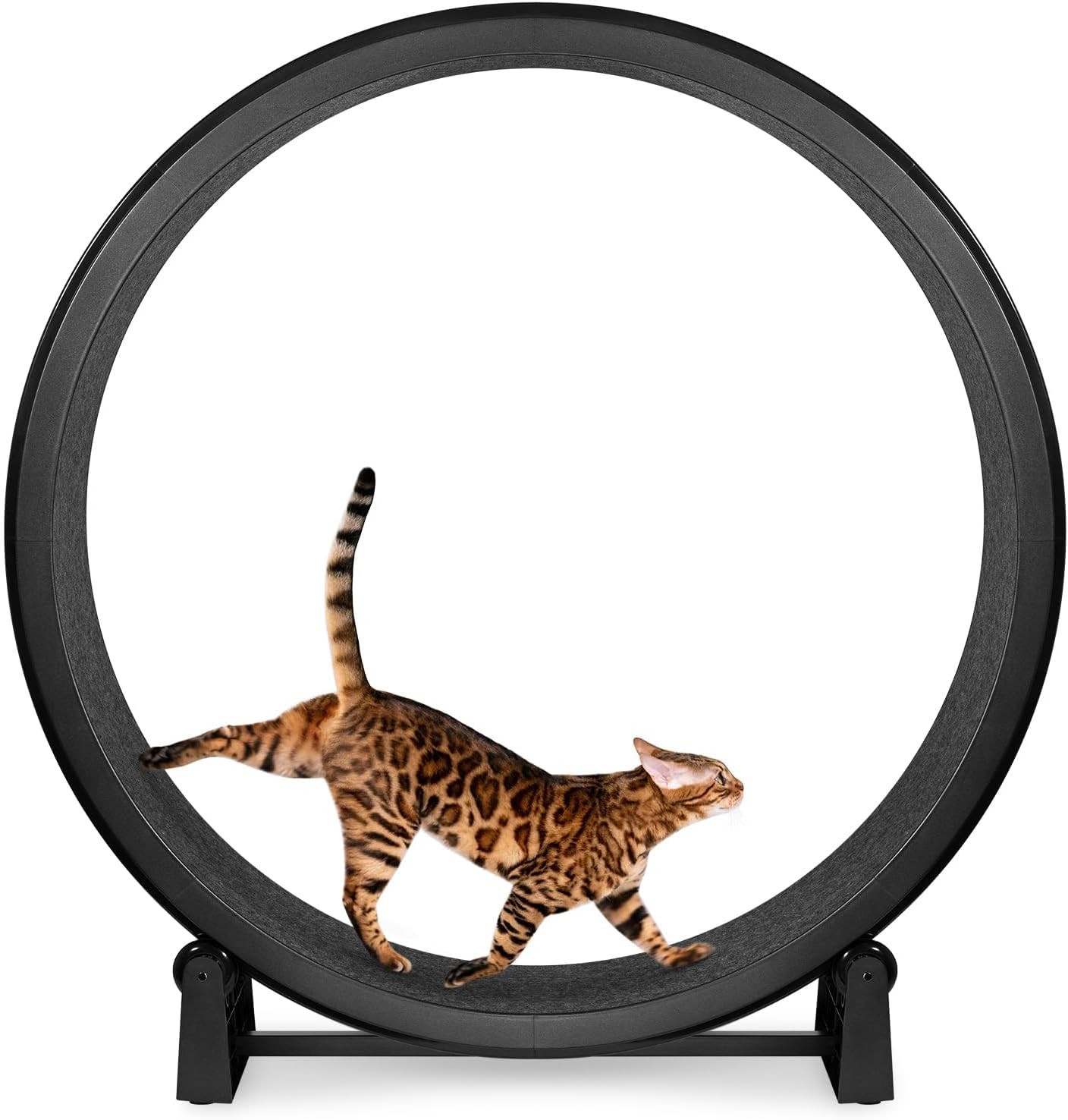 One Fast Cat - Cat Exercise Wheel - Made in the USA - 48" Diameter - Gen. 7 | Amazon (US)