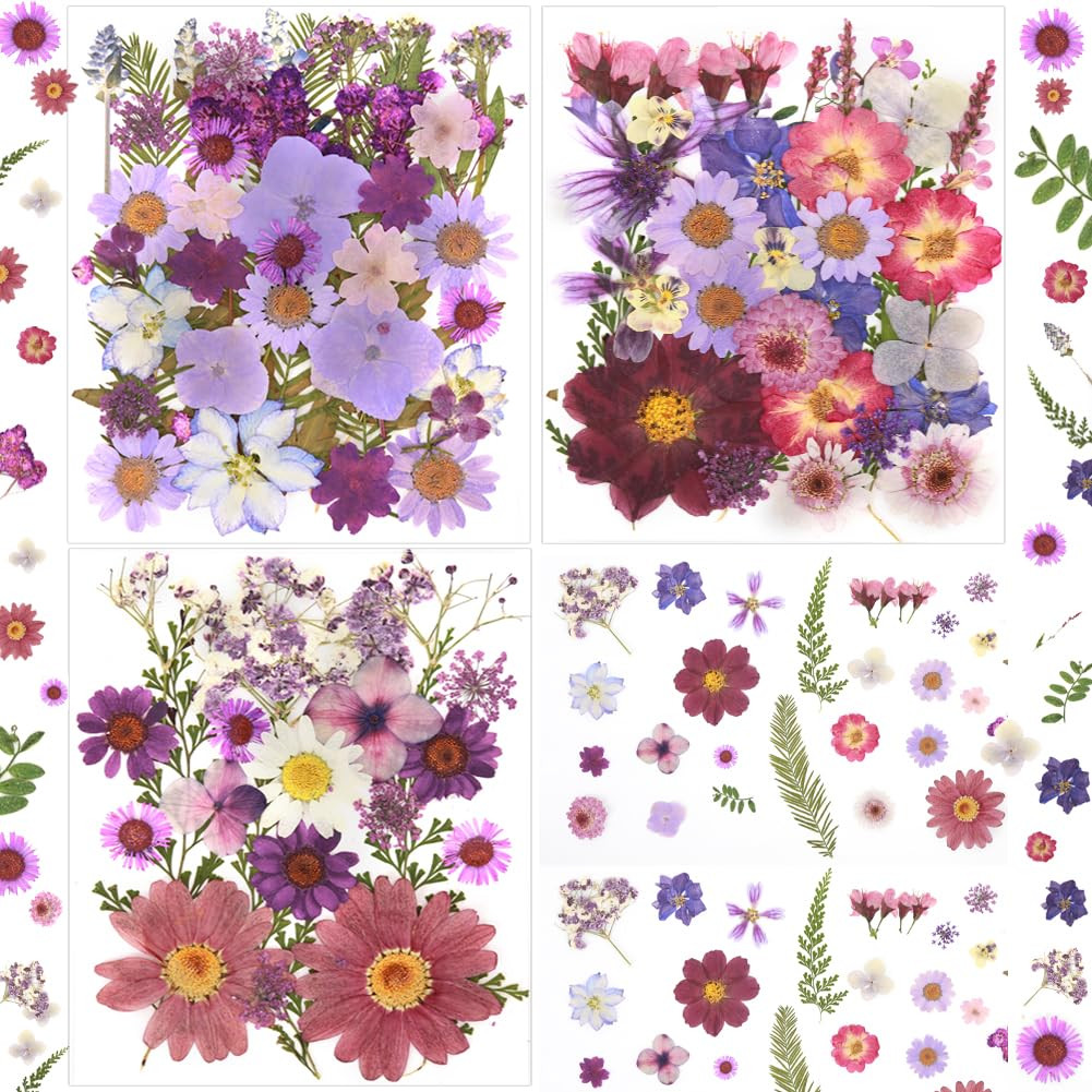 100Pcs Natural Pressed Dried Flowers Resin, Dry Flowers for Resin Accessories, Dried Flower for S... | Amazon (US)