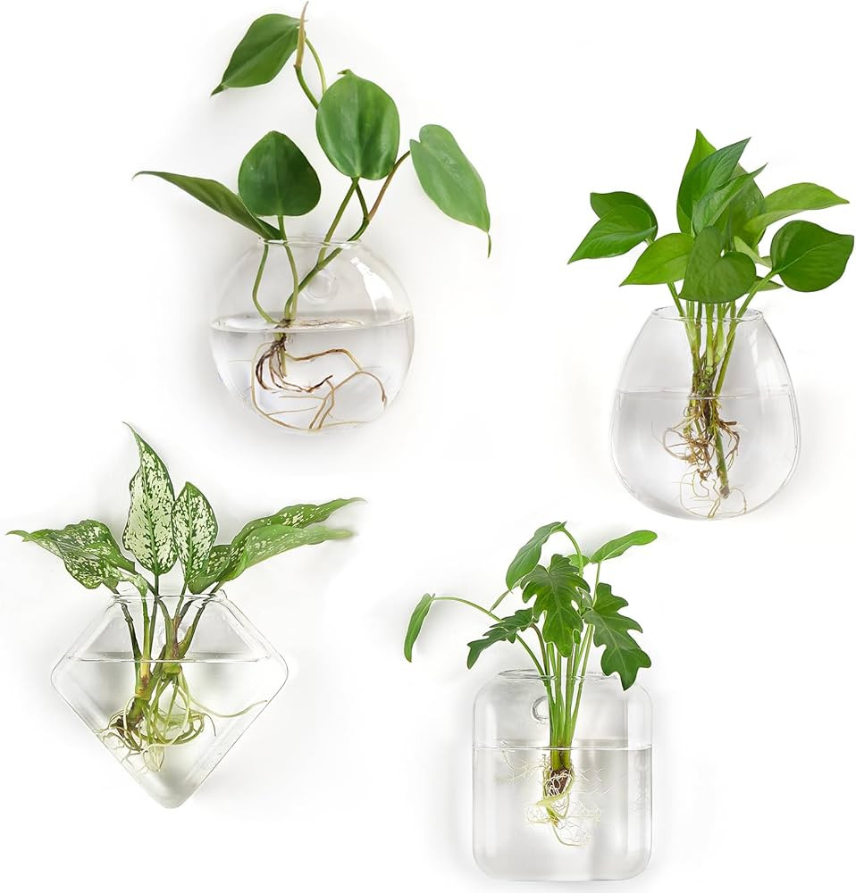 Mkono Propagation Wall Hanging Planter Glass Terrarium Flower Vases Holder for Indoor Plants, Hom... | Amazon (US)