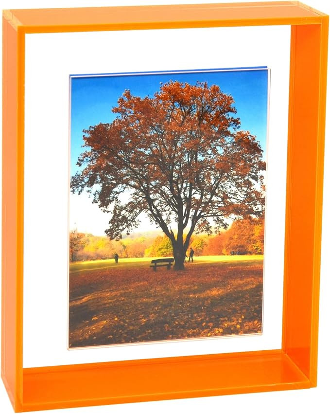 5x7 Floating Picture Frame Neon Acrylic Wall Mount Tabletop Desk Frame Decoration Colored Modern ... | Amazon (US)