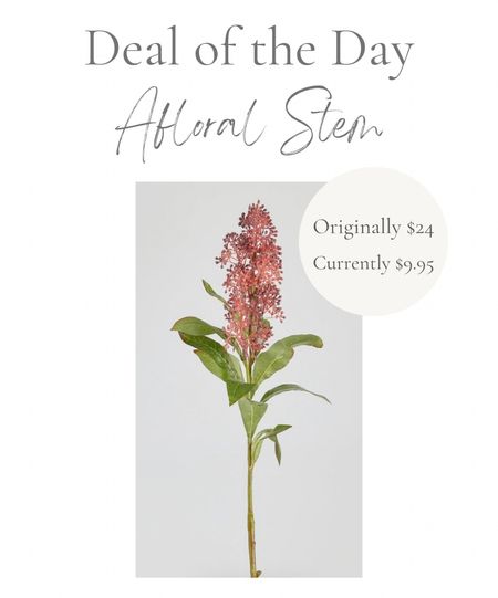 Deal of the Day | These beautiful floral stems from Afloral have gone on clearance and are almost 60% off.  I just snagged several to finally make arrangements for our bathroom.  I’ve linked several other stems on clearance!

#LTKSaleAlert #LTKHome