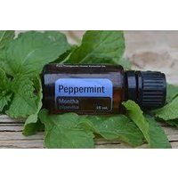 doTERRA Peppermint Essential Oil 15ml (NEW) | Bonanza (Global)