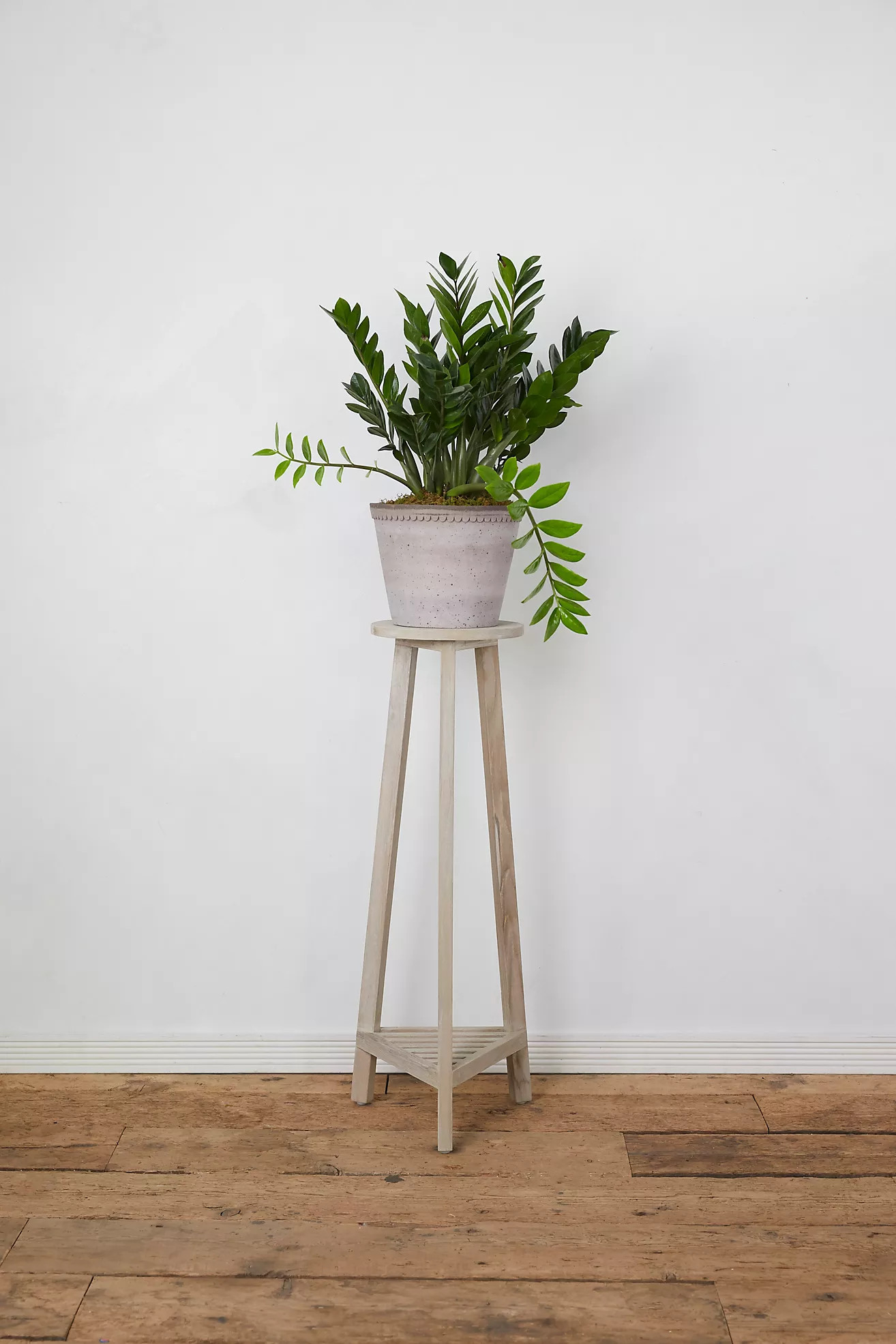 Three Leg Plant Stand | Terrain
