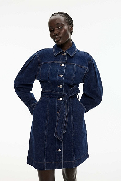 Denim Seam Detail Dress | Witchery (AU)