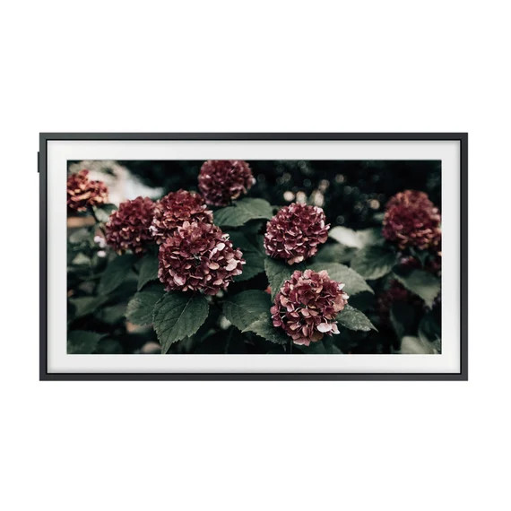 Burgundy Hydrangeas Samsung Frame TV Artwork Digital Download | Etsy (US)