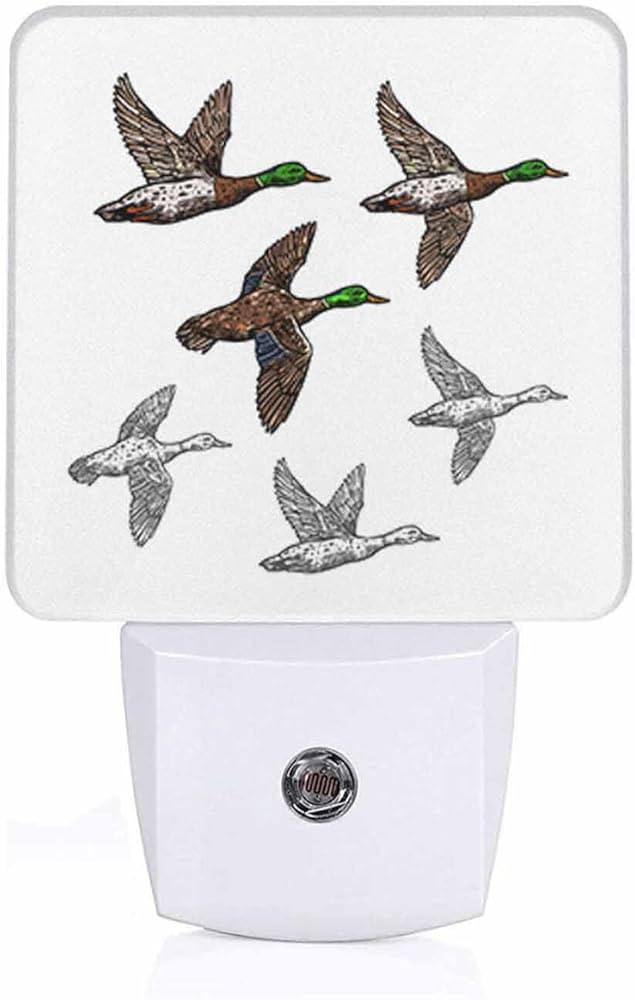 LED Night Light Plug into Wall with Dusk to Dawn Light Sensor White Energy Efficient Duck Mallard... | Amazon (US)