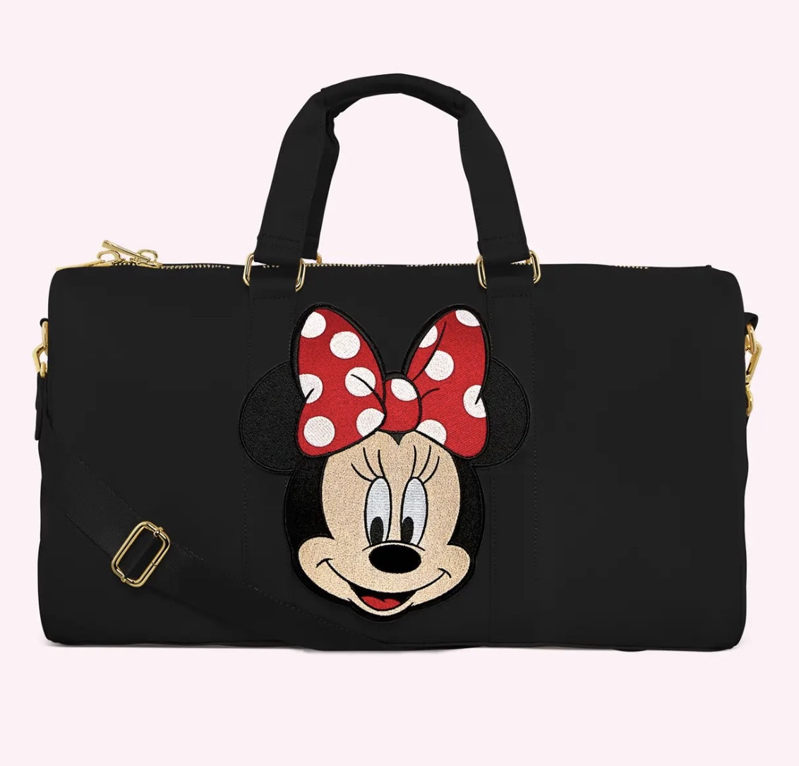 Super cute Disney Travel Bags 