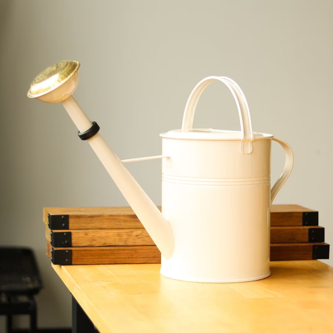 Galvanized Metal Watering Can with Brass Shower Head - 9 Liter - Winter White | Etsy (US)